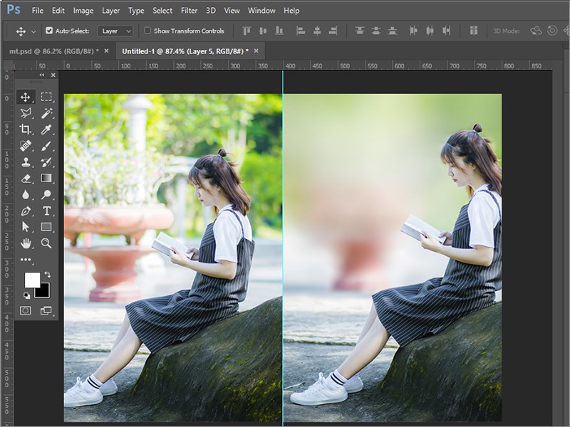 Khóa học Lightroom - Blend màu và Retouch - Histogram là gì?