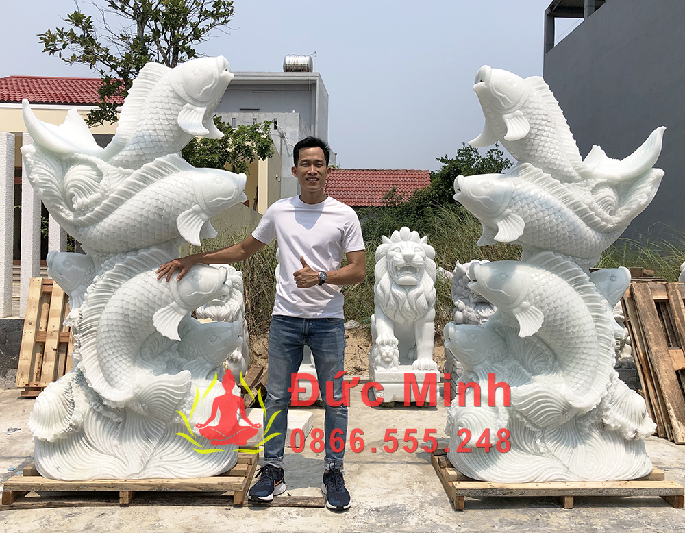 1. Cá chép đá là gì? Các dòng sản phẩm phổ biến hiện nay