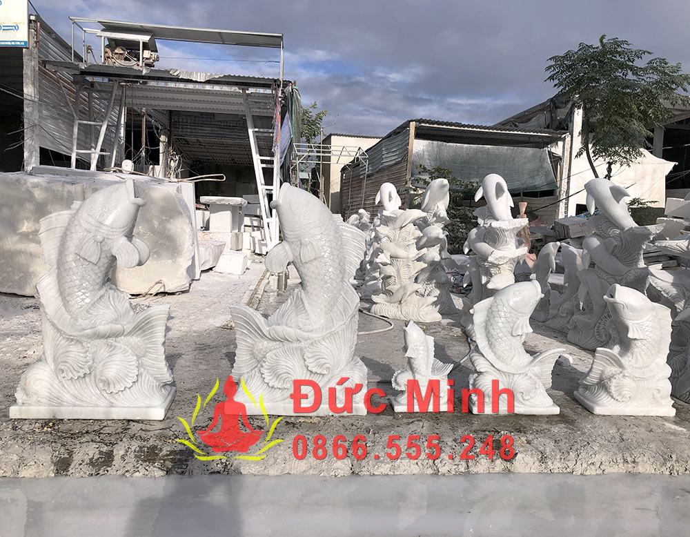 5. Báo giá cá chép đá tại xưởng mới nhất