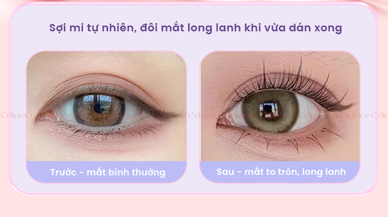H-9077 - Mi Giả Từng Cụm HEY Tự Dính Không Dùng Keo, Phong Cách Hoa Hướng Dương (Cam)