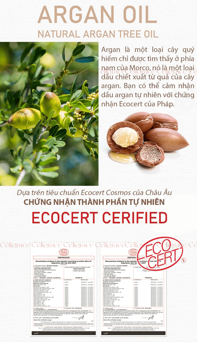 Tinh Dầu Dưỡng Tóc RAIP Bóng Mượt R3 Argan Hair Oil 100ml