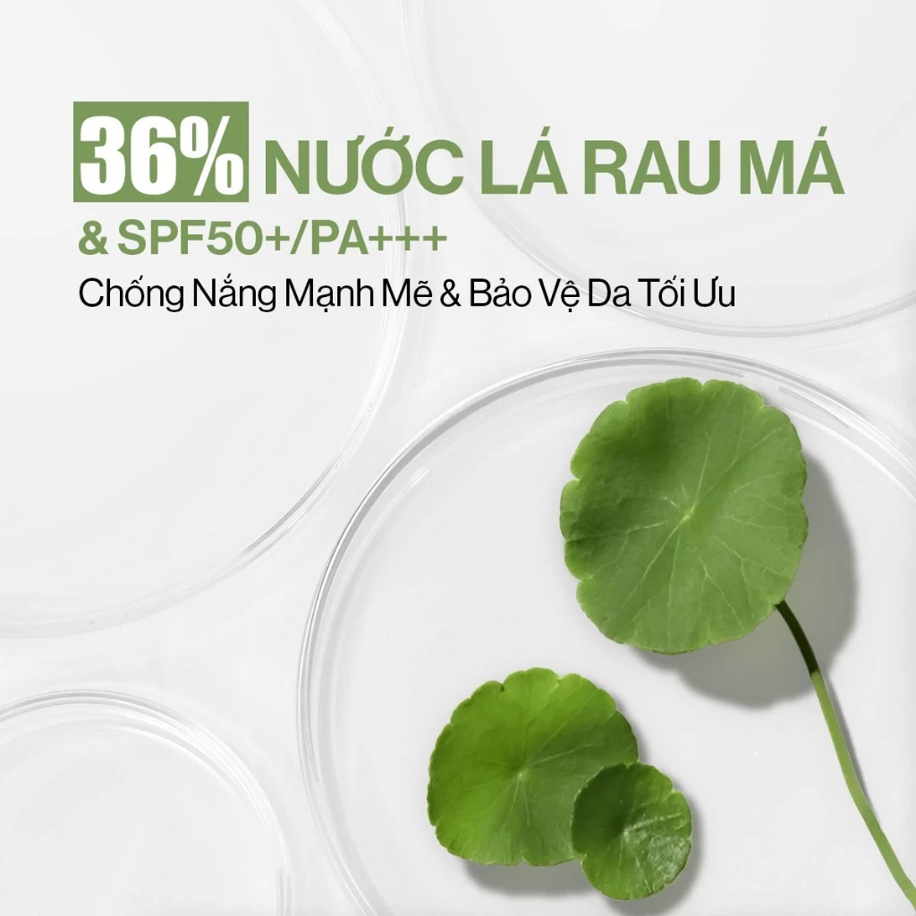 Phấn Nước GLAMRR Q Kiềm Dầu, Che Phủ Cao Vegan Super Cover Cushion SPF50+/PA++