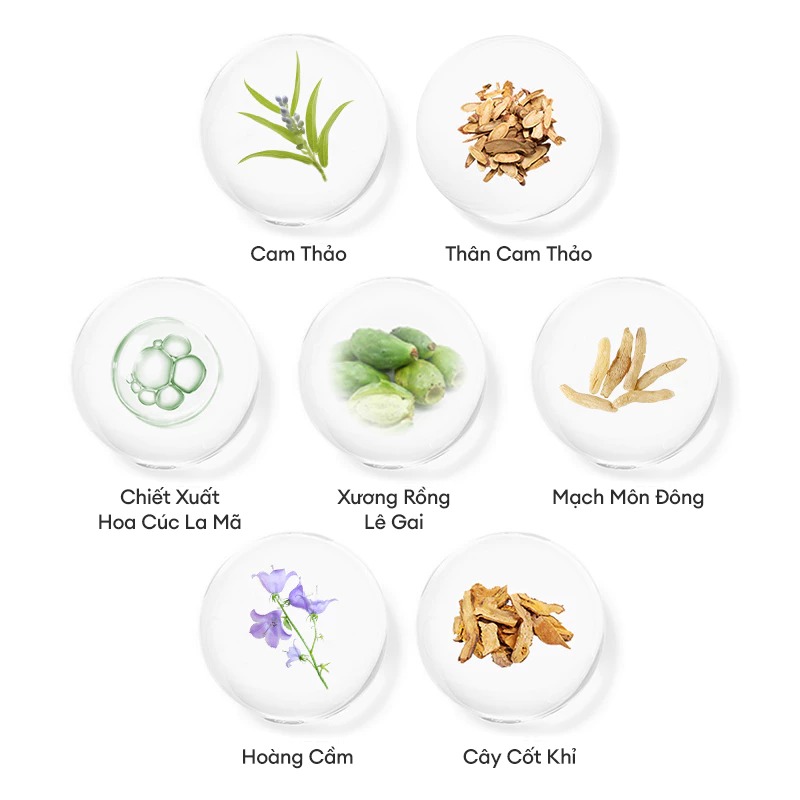 Mặt Nạ Bùn Colorkey Trà Xanh Cho Da Dầu Mụn Luminous Green Tea Purifying Clay Mask 60g