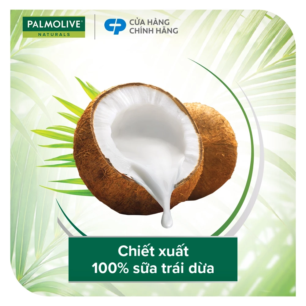 Dầu Gội PALMOLIVE Kèm Xả 2 Trong 1 Chiết Xuất Thiên Nhiên