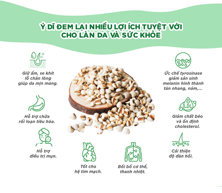 Viên Uống DHC Trắng Da Từ Bột Ý Dĩ Adlay Extract (30 Viên/30 Ngày) - Dạng Túi