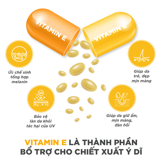 Viên Uống DHC Trắng Da Từ Bột Ý Dĩ Adlay Extract (30 Viên/30 Ngày) - Dạng Túi