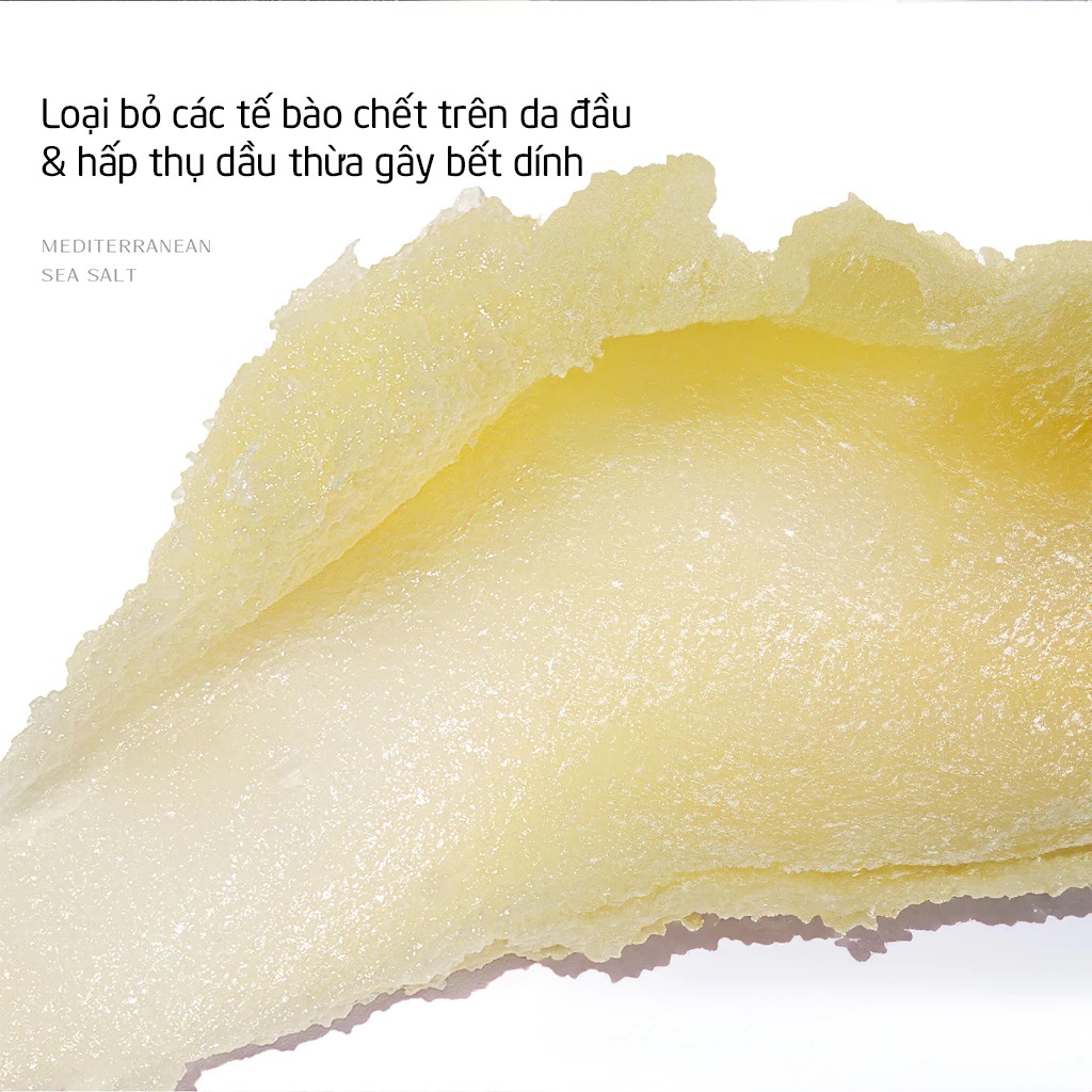 Dầu Gội Tẩy Tế Bào Chết Muối Biển Làm Sạch Sâu, Hỗ trợ Giảm Gàu, Tóc Bồng Bềnh SPES Sea Salt Cream For Scalp 280g
