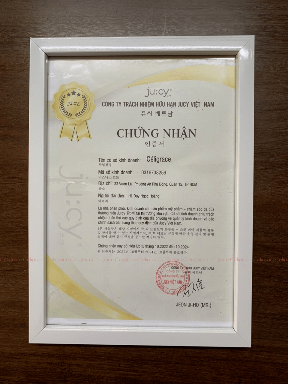 [Tuýp Mới 50ml] Kem Chống Nắng Ju:cy Nâng Tone All-In-One Sunblock SPF50+ PA++++