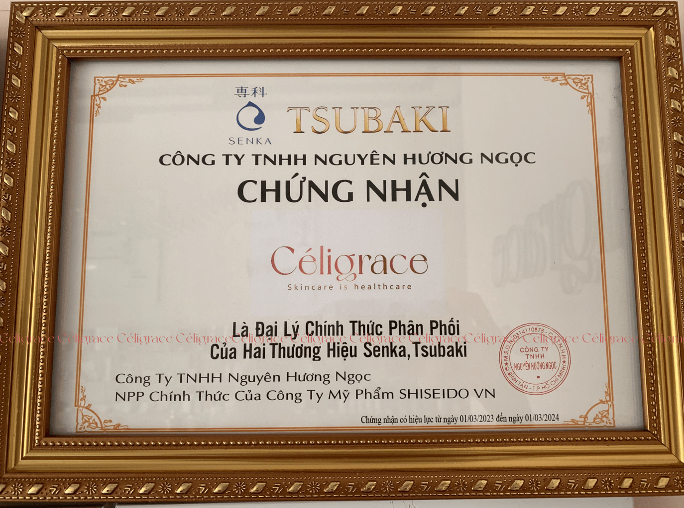 Sữa Chống Nắng Senka Kiềm Dầu, Mịn Lì SPF50/PA++++ Perfect UV Milk 40ml