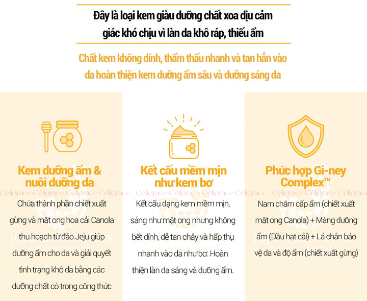 [DATE 02/2025] Kem Dưỡng Ẩm Innisfree Chuyên Sâu Gừng Mật Ong Ginger Honey Cream 50ml