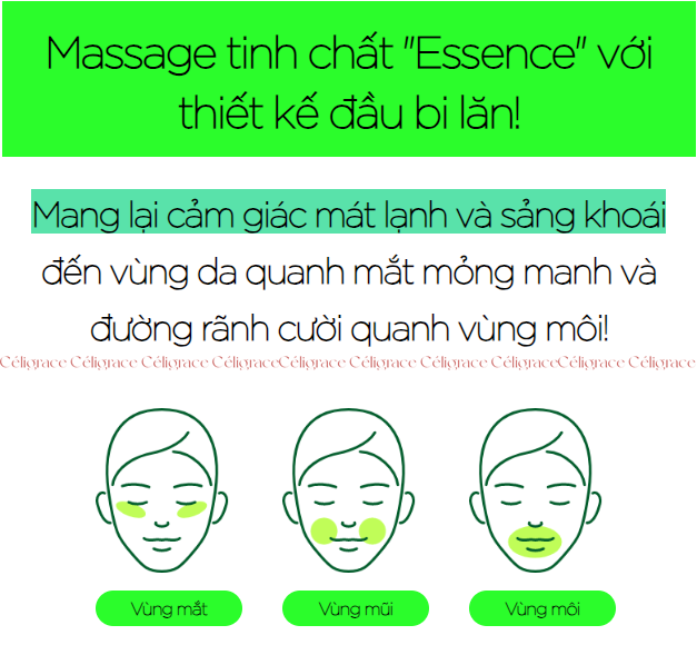 [SPECSAL24] Thanh Lăn Innisfree Dưỡng Mắt & Da Mặt Green Tea Seed Eye & Face Ball 10 ml