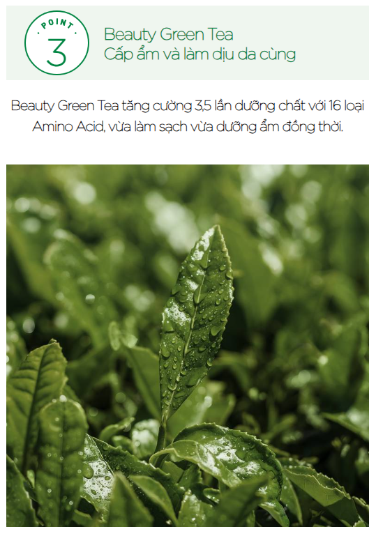 [SPECSAL24] Nước Tẩy Trang Innisfree Green Tea Hydrating Amino Acid Cleansing Water 300ml