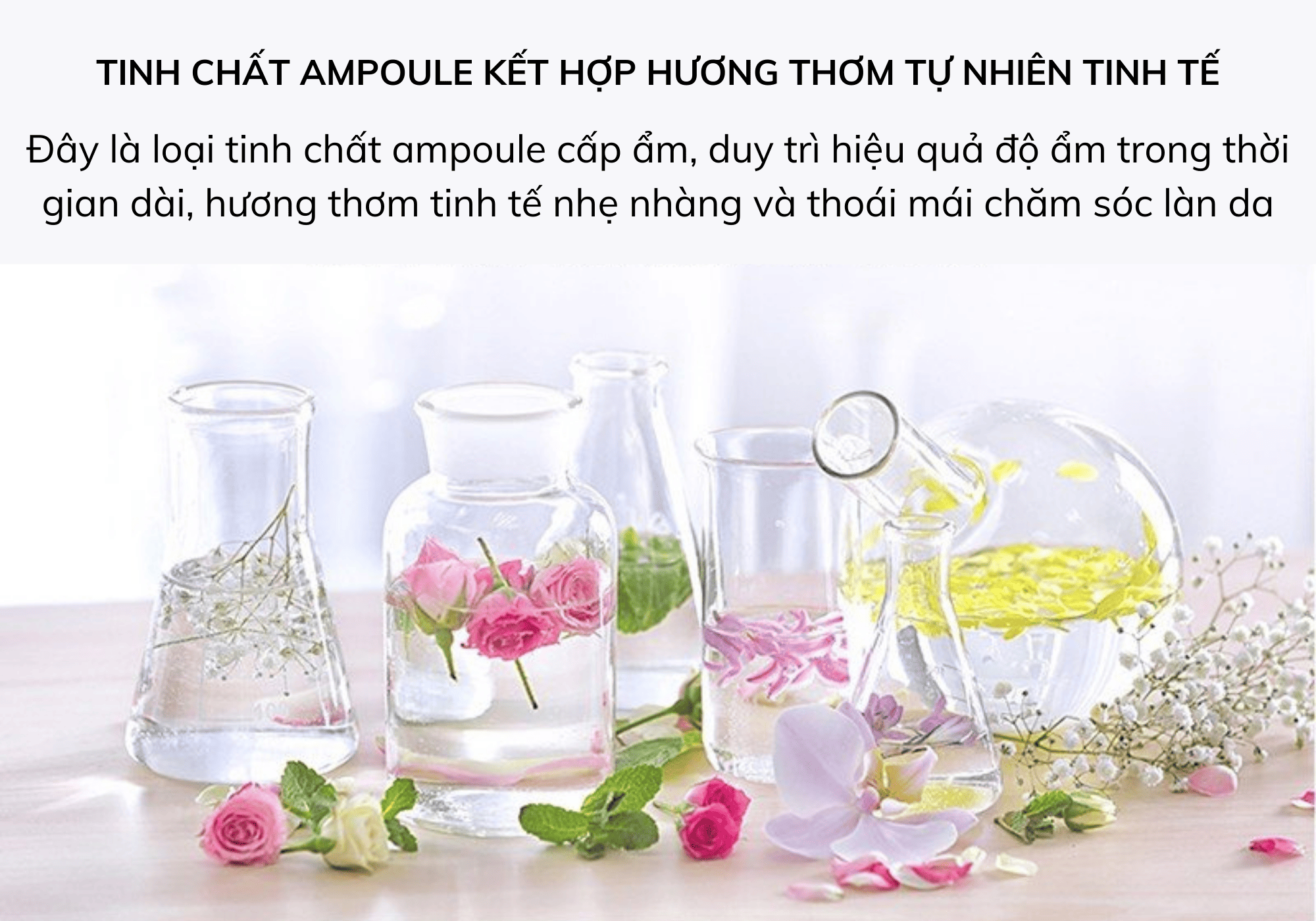 Mặt Nạ Giấy The Saem Chiết Xuất Từ Thiên Nhiên Natural Mask Sheet 21ml