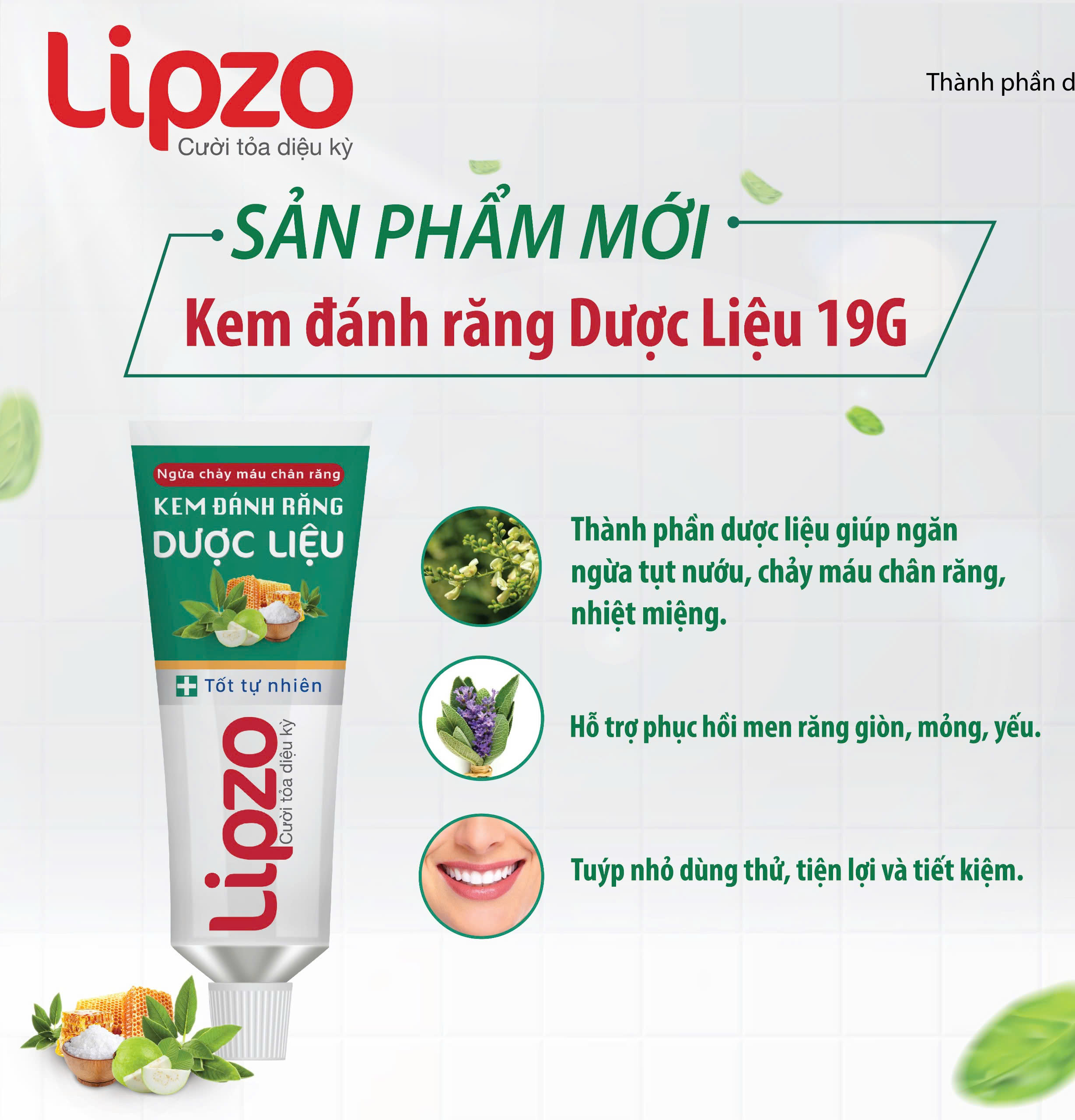 Tại sao nên chọn dùng Kem đánh răng dược liệu Lipzo?