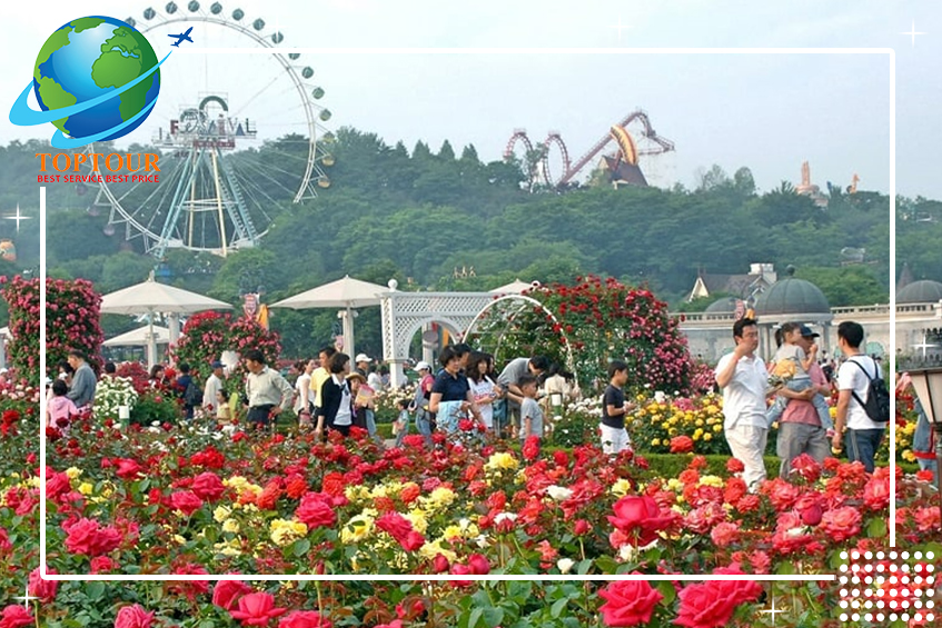 CÙNG THAM QUAN CÁC ĐỊA ĐIỂM NỔI TIẾNG KHI DU LỊCH HÀN QUỐC