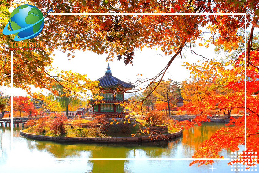 ĐI DU LỊCH HÀN QUỐC MÙA THU CÓ GÌ ĐẶC BIỆT?