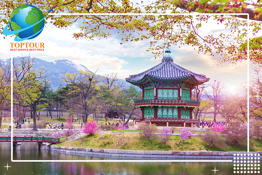 DU LỊCH HÀN QUỐC GIÁ RẺ - BẬT MÍ ĐỊA ĐIỂM NGẮM HOA ANH ĐÀO