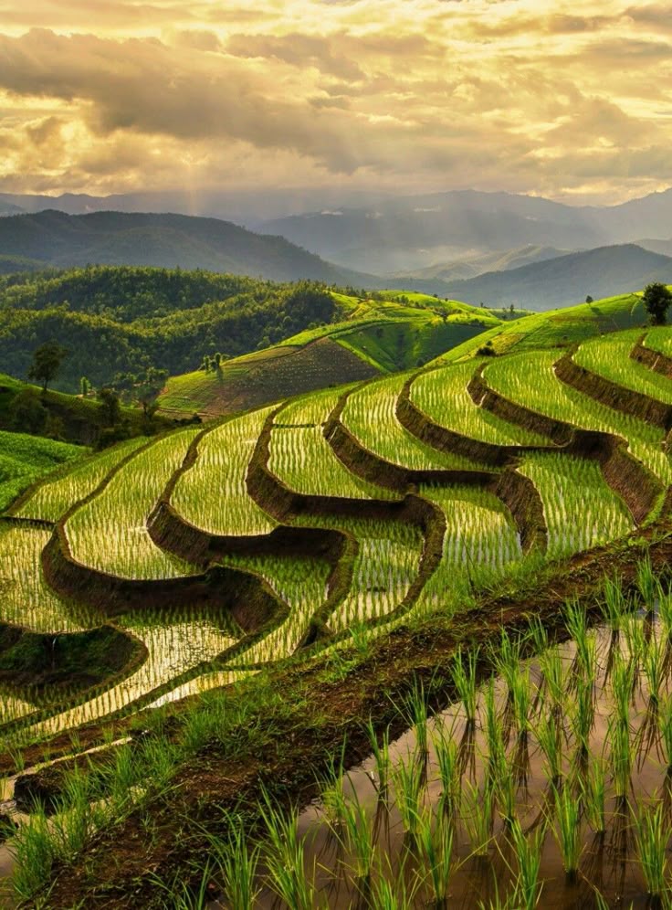 chi phí đi sapa