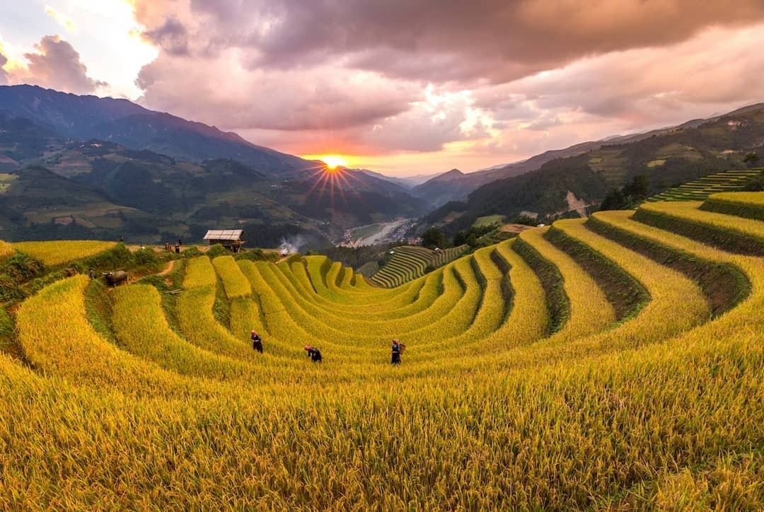 Du Lịch Sơn La – Điện Biên – Lai Châu – Hoà Bình 5 ngày 4 đêm