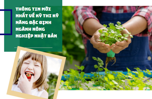 Lịch thi kỹ năng đặc định 1 ngành Nông nghiệp tại Hà Nội tháng 03/2024