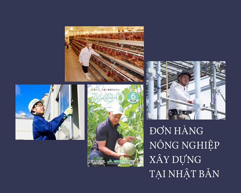 THÔNG BÁO TTS NÔNG NGHIỆP, XÂY DỰNG LÀM VIỆC TẠI NHẬT BẢN