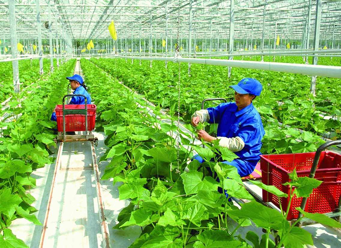 Thông báo tuyển dụng đơn hàng Nông nghiệp