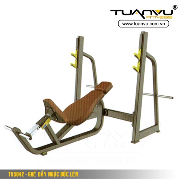 Ghế đẩy ngực dốc lên TV5042