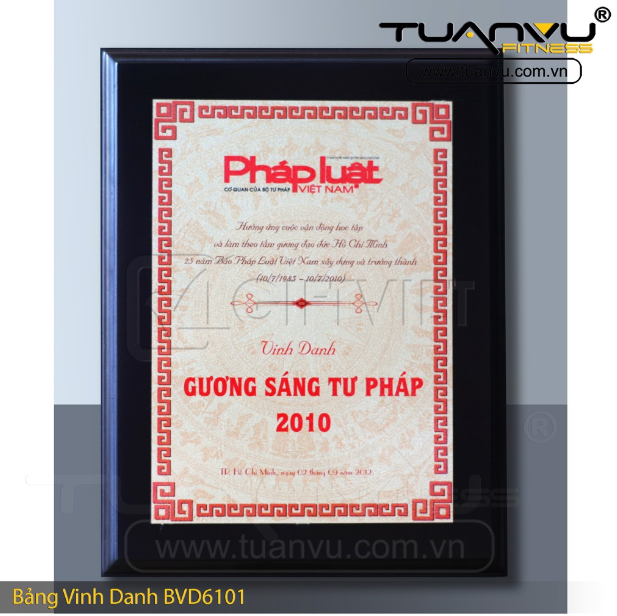 Bảng vinh danh BVD6101