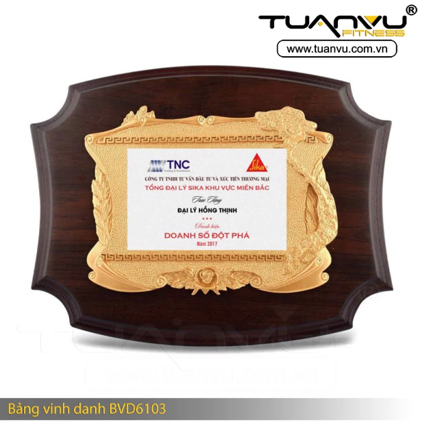Bảng vinh danh BVD6103