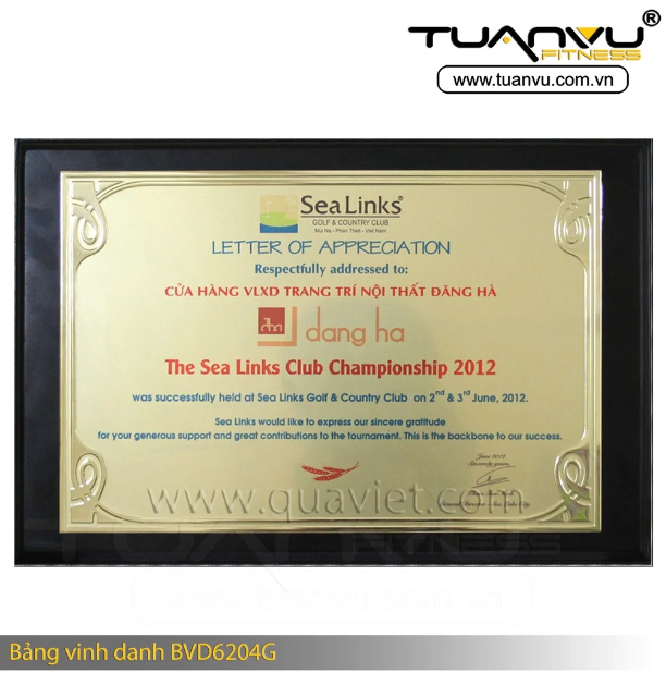 Bảng vinh danh BVD6204G