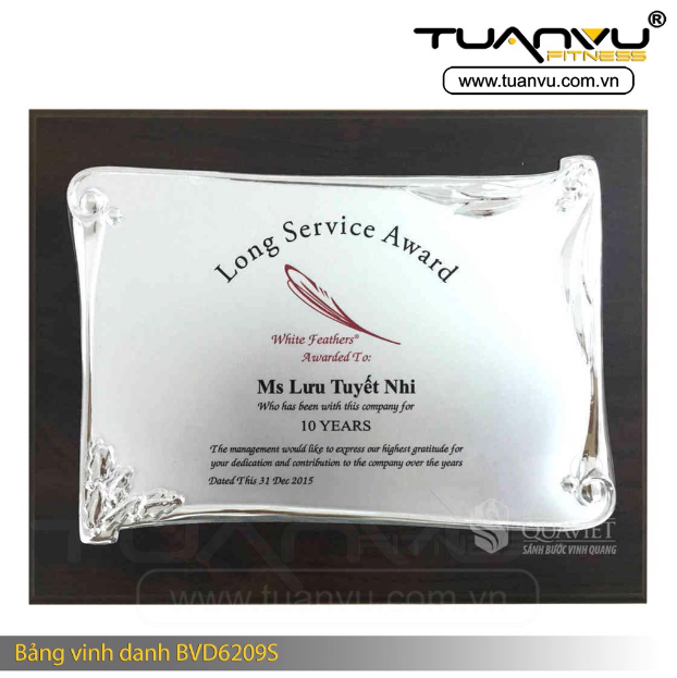 Bảng vinh danh BVD6209