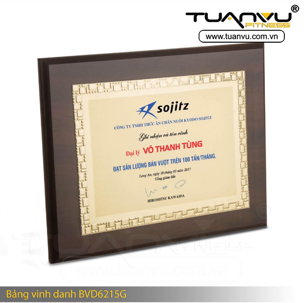 Bảng vinh danh BVD6215G
