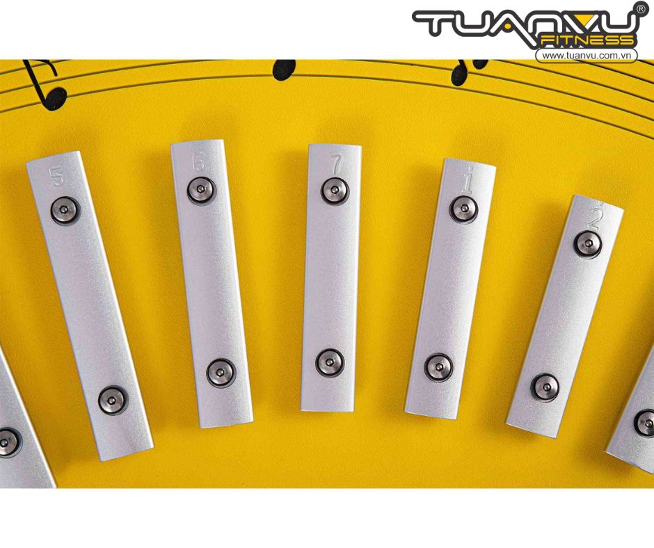 Bộ nhạc cụ gõ trẻ em Super Music