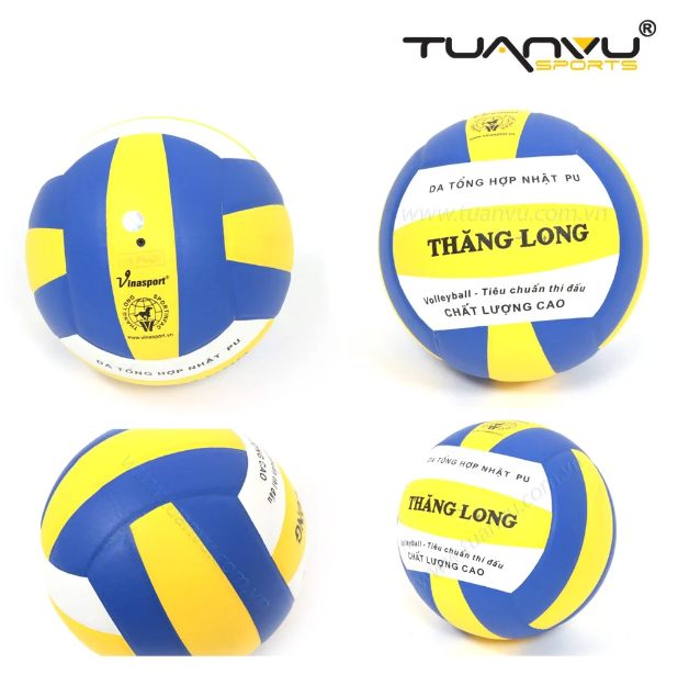 Bóng chuyền Thăng Long