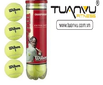 Bóng tennis winson đỏ championship hộp 4 quả