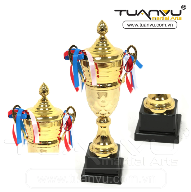 Cúp thể thao 6