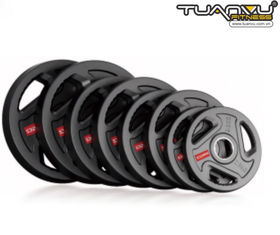 Đĩa tạ gang phủ sơn