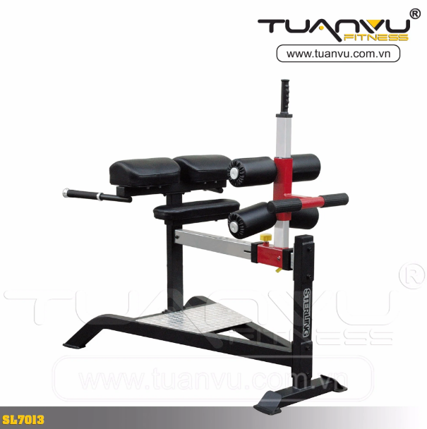 Ghế tập mông Impulse SL7013