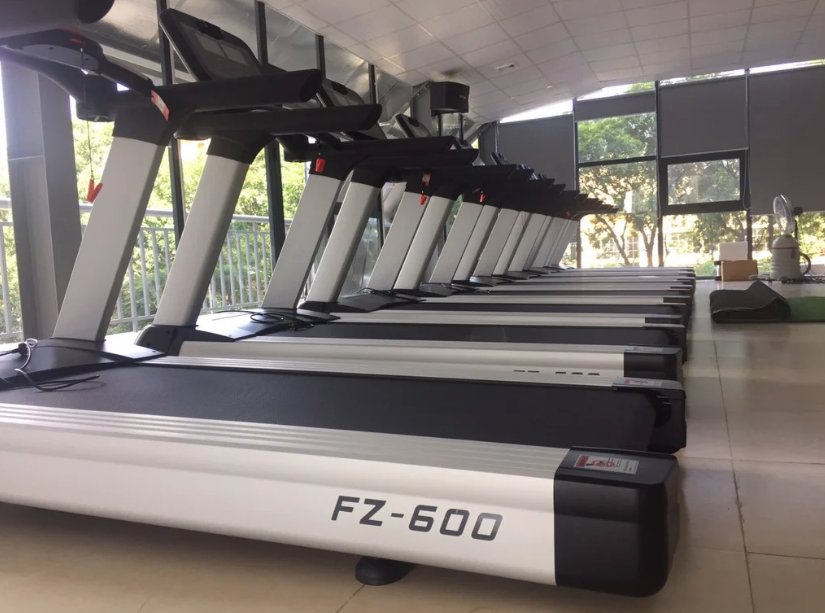 Máy chạy bộ điện Impulse FZ600