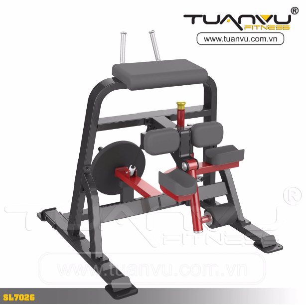 Máy móc đùi sau Impulse SL7026