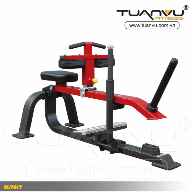 Máy tập bắp chuối  Impulse SL7017