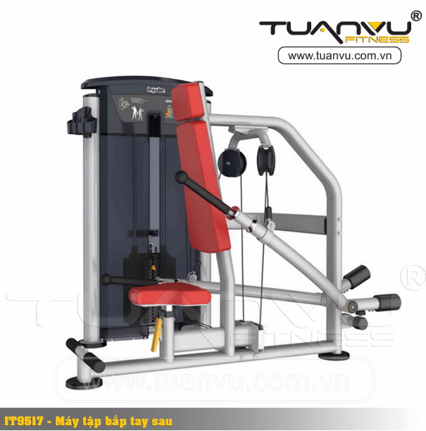 Máy tập bắp tay sau Impulse IT9517