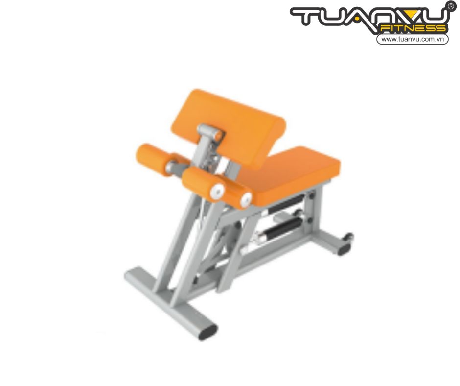 Máy tập bắp tay trước, bắp tay sau thủy lực TR801