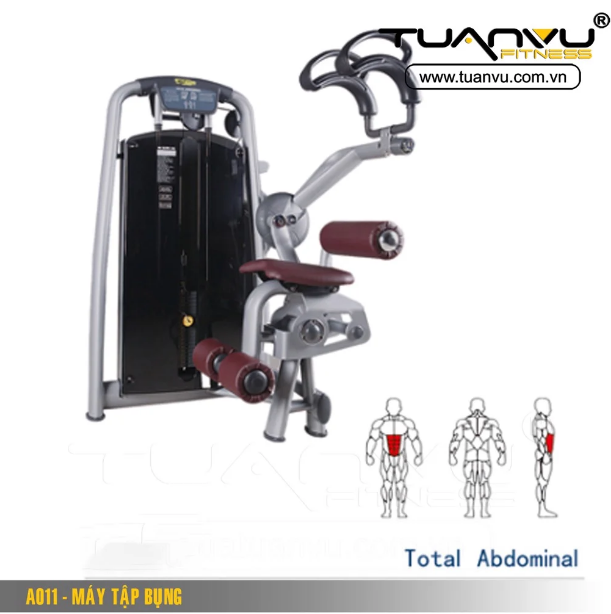 Máy tập bụng A011