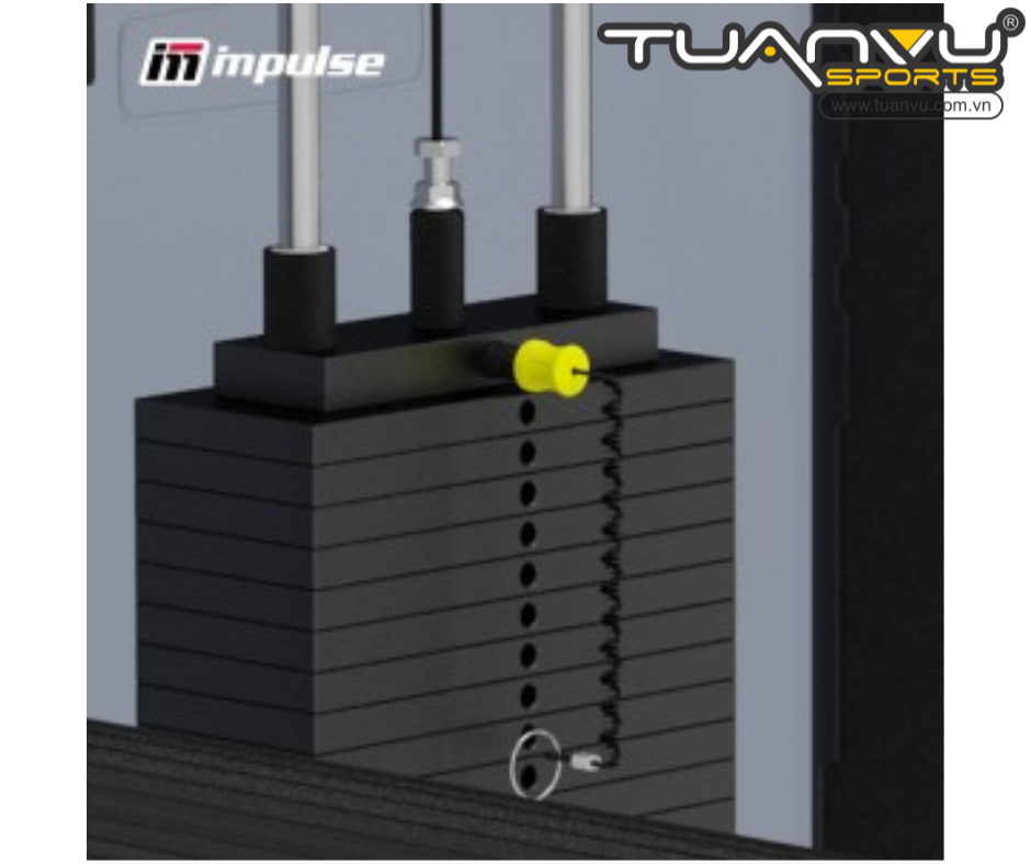 Máy tập cơ mông đùi sau Impulse IF9326