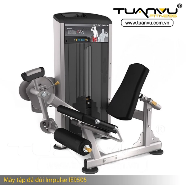 Máy tập đá đùi Impulse IE9505