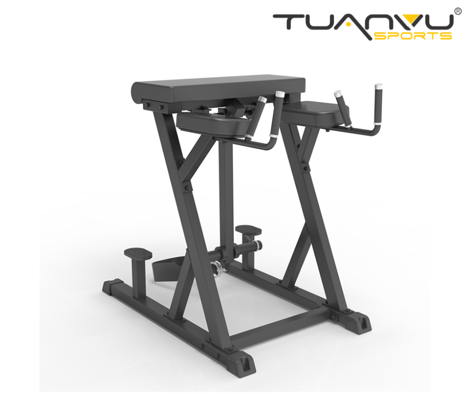 Máy tập lưng và mông Impulse IFP1619