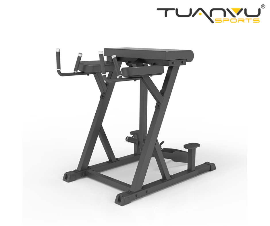 Máy tập lưng và mông Impulse IFP1619