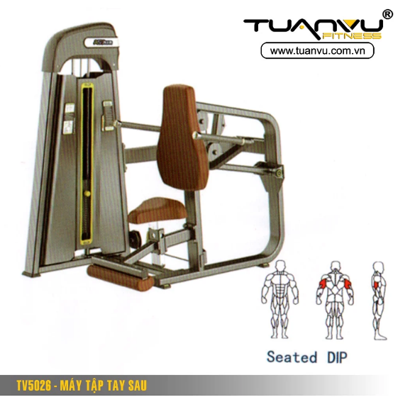 Máy tập tay sau TV5026