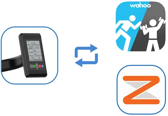 Máy trượt tuyết Impulse HSR007 ski&row 